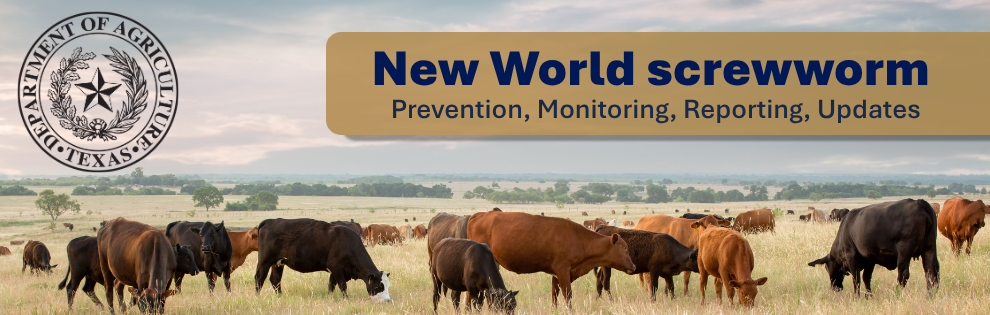 NWS Website Header - Home page